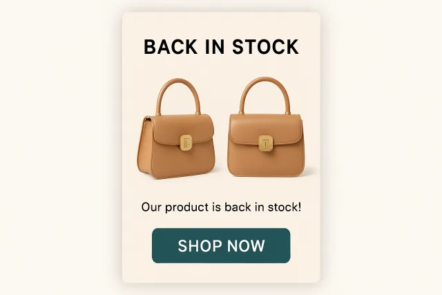 Back in Stock Email Strategy